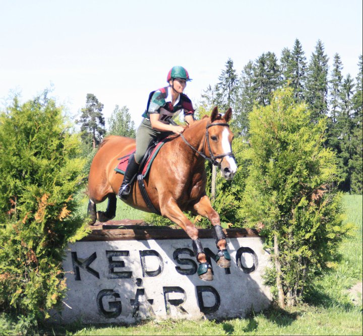 Arnt_skedsmo_12.06.11